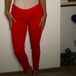 Red dress pants
